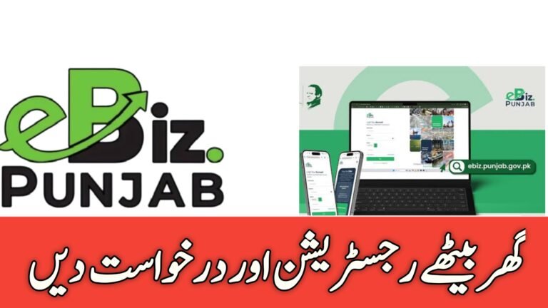 Sole Proprietorship in eBiz