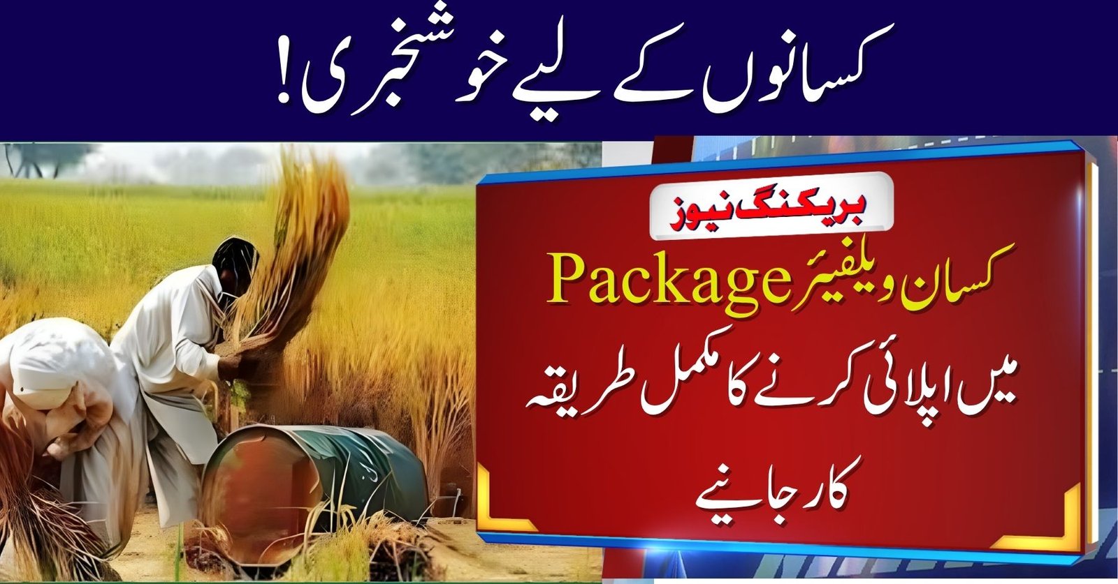CM Punjab Farmer Welfare Package