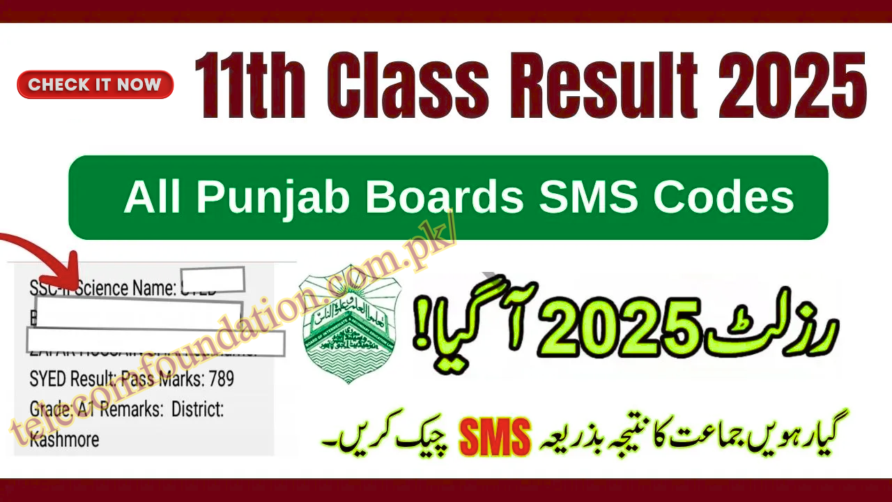 Punjab 11th Class Result