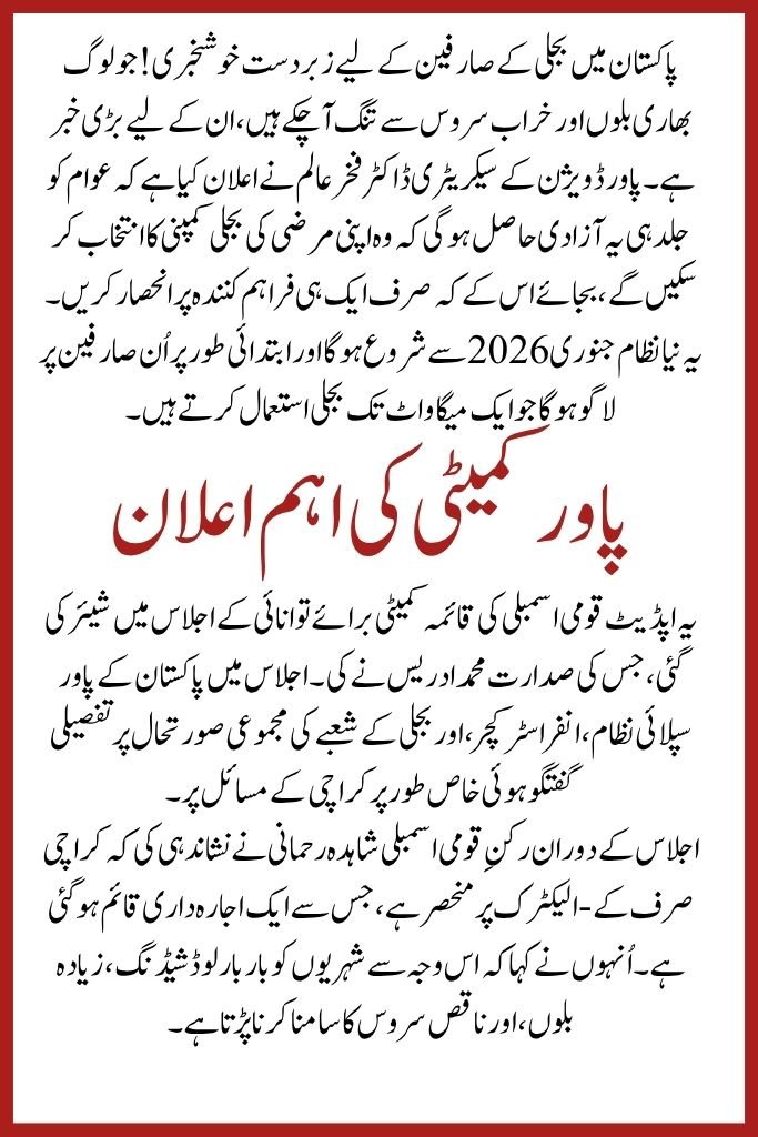 Electricity Consumers in Pakistan Will Soon Choose Their Own Power Company