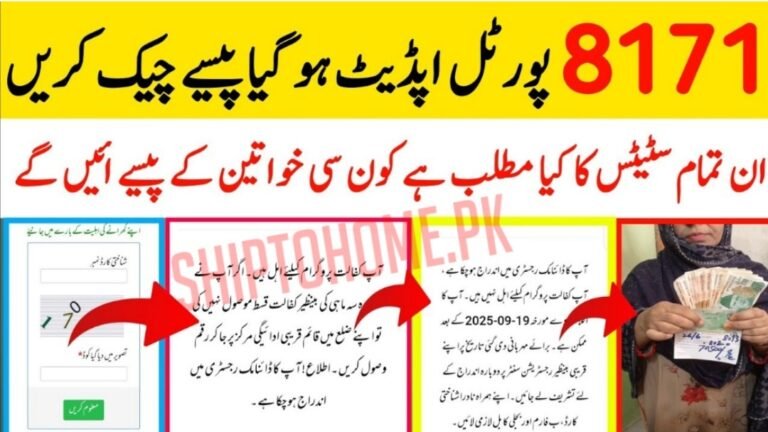 BISP Web Portal Today November 2025 Update – Complete Payment Checklist