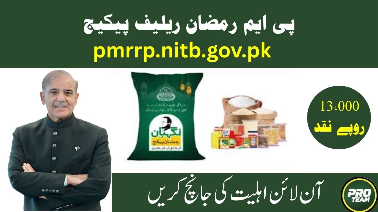Pmrrp nitb gov pk