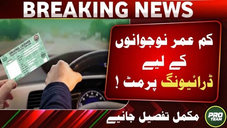 Punjab Juvenile Driving Permit Fee