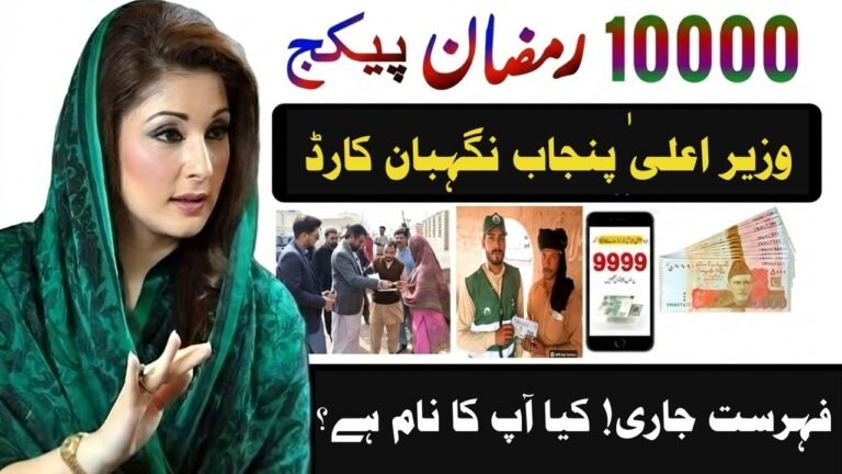 CM Punjab Nigehban Card