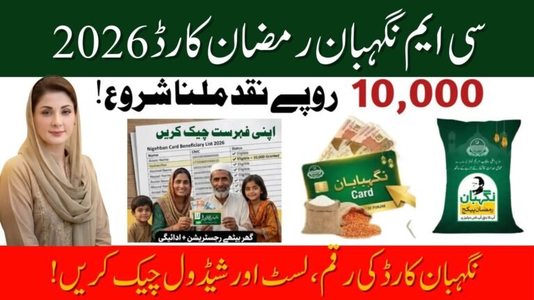 CM Punjab Nigahban Card